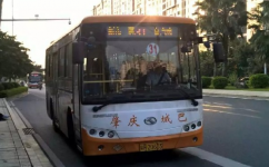 肇慶31路公交