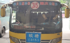 肇慶315專線公交