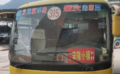肇慶315劉村支線公交車路線