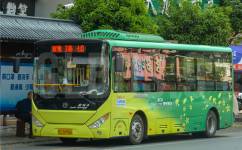 桂林荔浦3路公交車路線