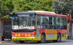 桂林相仕線公交車路線