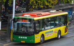 桂林10路公交車路線