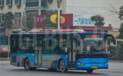 桂林301路公交