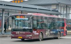 桂林303路公交