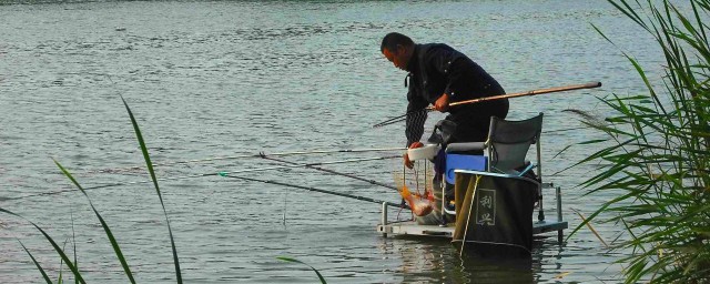 杭州釣魚的地方 杭州適合釣魚的好去處