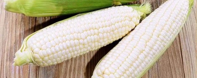 糯玉米是轉基因的嗎 你可以從這看