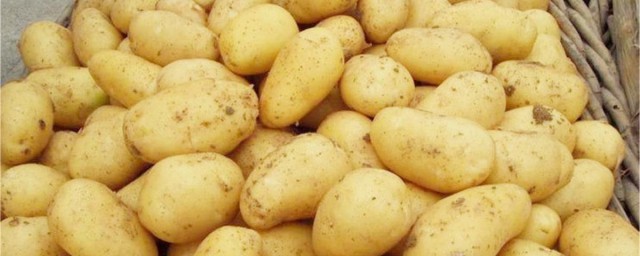 最新土豆種植技術 在傢就可以種