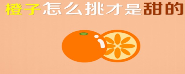 橙子怎麼挑選甜的 疑難解答