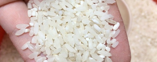 有米蟲的米還能吃嗎 怎麼處理生蟲的大米