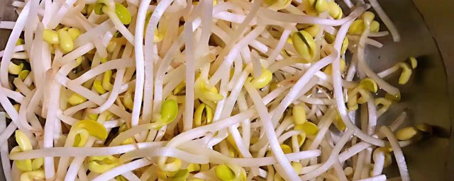 生綠豆芽的做法 你知道嗎