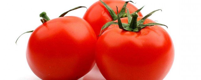 介紹西紅柿的作文怎麼寫 作文模板