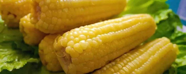 甜玉米一年能種幾次 現在你知道瞭嗎