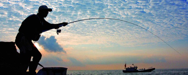 海釣魚線的種類和選擇 海釣魚線的三大類與用途