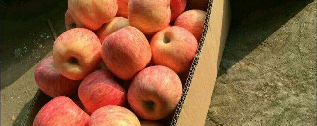 傢庭蘋果儲藏方法 傢庭蘋果怎麼儲藏