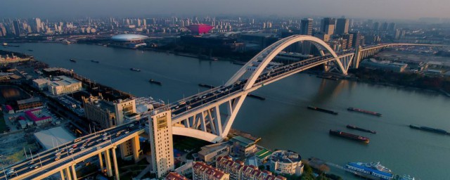 上海浦星大橋在哪裡 來看看吧