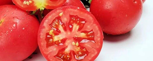 怎麼種西紅柿 原來是這麼回事