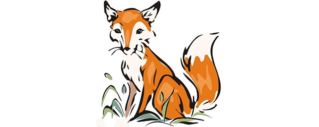 野生狐貍怕什麼 狐貍主要吃什麼