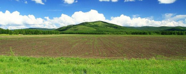 女兒出嫁土地歸誰 視戶口是否已遷出