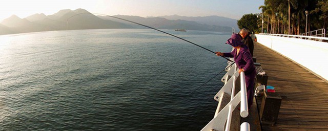 深圳周邊最新海釣地點 瞭解五種海釣的熱門地點和特產
