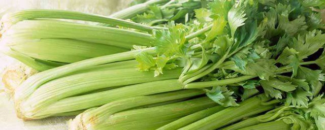 芹菜葉五種絕佳吃法 隨便一種都好吃到爆