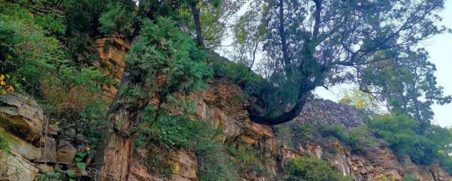 白土嶺有門票嗎 你要去爬嗎