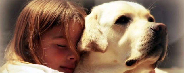 為什麼不讓動物和人一樣說話 動物能說話嗎