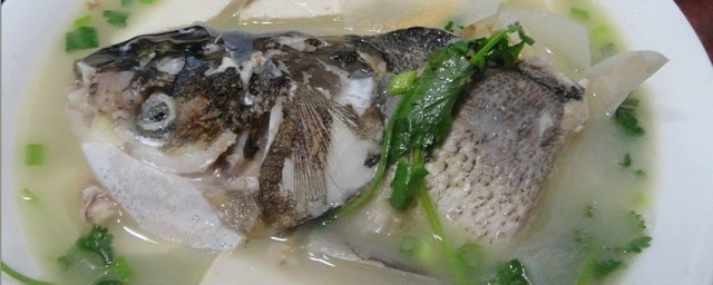 魚頭豆腐湯用什麼魚 來瞭解看看吧
