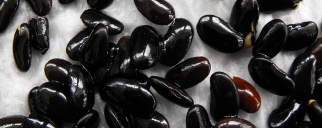 黑豆生豆芽的方法 如何用黑豆生豆芽