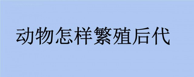 人類為什麼繁育後代 人為什麼要繁衍後代