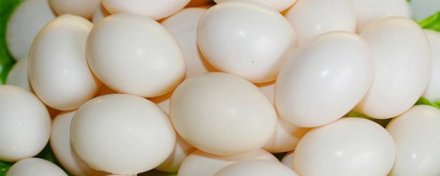 吃鴿子蛋的好處 鴿子蛋的功效