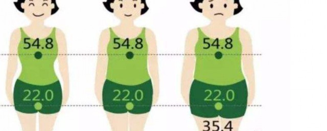 成年女性的體脂率 女生的體脂率多少正常