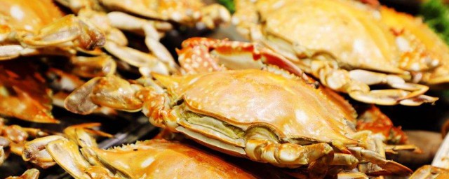 6歲兒童能吃螃蟹嗎 6歲的小孩能不能吃大閘蟹