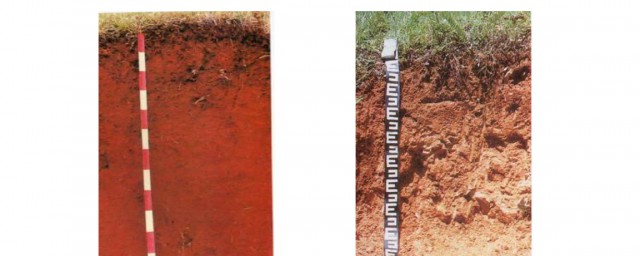 酸性土壤和堿性土壤的區別 酸性土壤和堿性土壤施肥區別