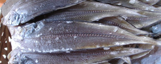 尤利魚是什麼魚 龍利魚介紹