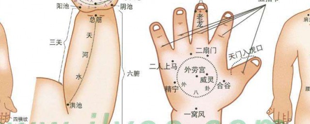 陰陽穴作用和功效 按摩人體陰陽穴有什麼好處