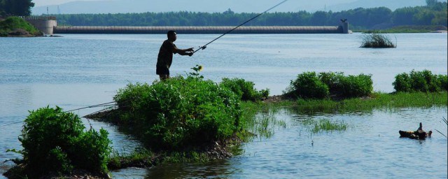 漲水怎麼釣魚 漲水的時候怎樣釣魚效果較好