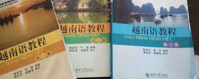 古越南語是漢語嗎 越南語受什麼影響
