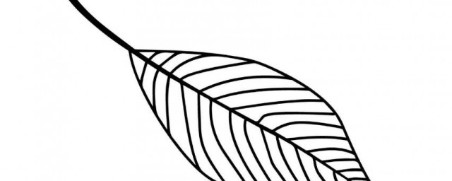 簡筆畫樹葉的畫法 怎麼畫葉子簡單
