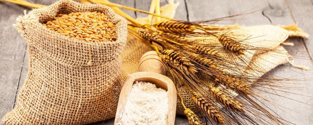 怎樣儲存小麥不被蟲吃 有什麼好方法