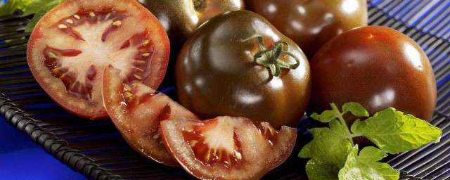 黑番茄種子哪裡能買到 黑番茄種子哪裡有賣