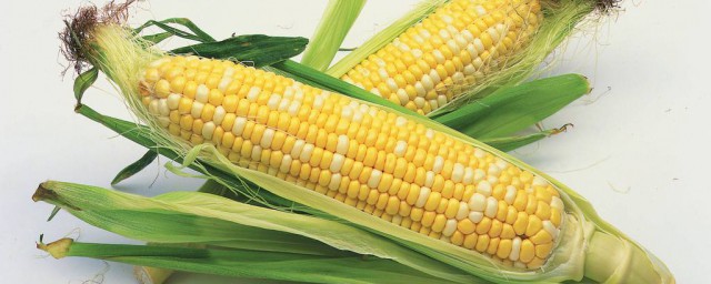 玉米的拼音 玉米還有哪些叫法