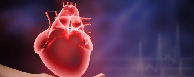 心臟彩超有輻射嗎 心臟在什麼位置