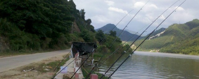 海竿怎麼釣鯽魚 海竿釣鯽魚的技巧