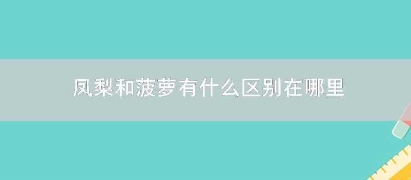 鳳梨和菠蘿有什麼區別在哪裡