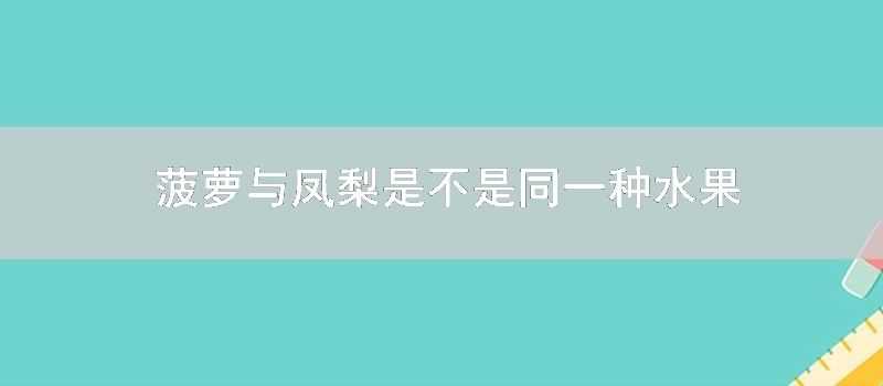 菠蘿與鳳梨是不是同一種水果