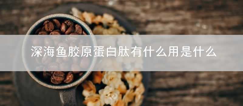 深海魚膠原蛋白肽有什麼用是什麼