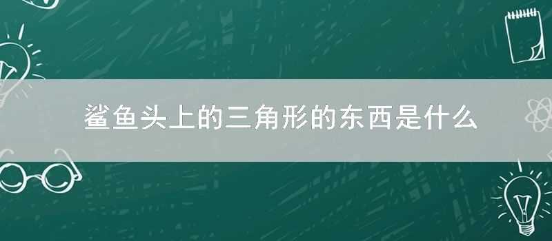 鯊魚頭上的三角形的東西是什麼