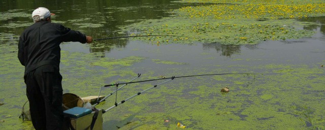 河邊釣魚技巧 大河小河技巧不一樣