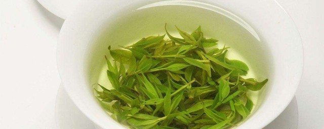 苦丁茶是綠茶嗎 苦丁茶有什麼功效