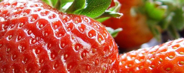 最好的草莓品種 草莓品種大揭秘
